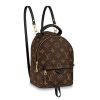 Replica Louis Vuitton LV Unisex Palm Springs Backpack Mini in Monogram Coated Canvas-Brown